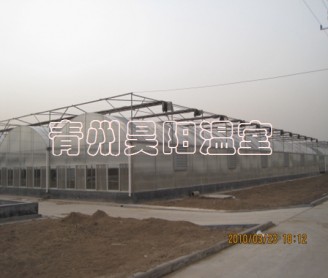 智能連棟膜溫室