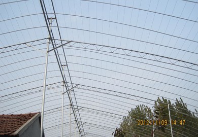 Feature requirement for shed greenhouse construction