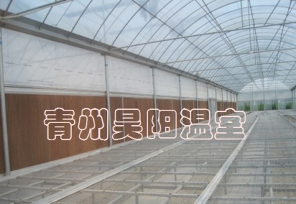 Greenhouse mobile seedbed