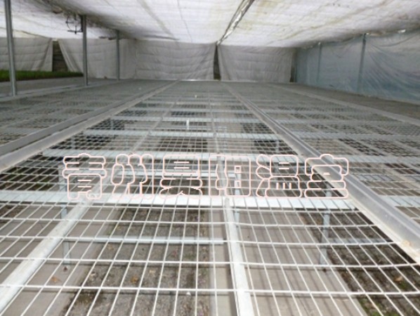 Greenhouse mobile seedbed