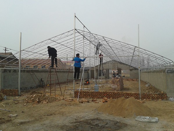 Intelligent sunlight greenhouse