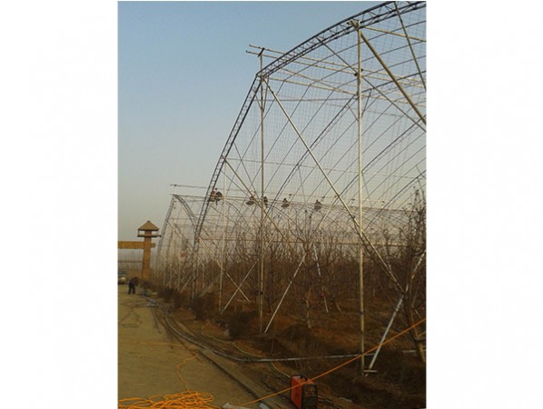 Fruit trees greenhouse