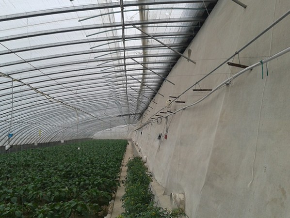 Intelligent sunlight greenhouse