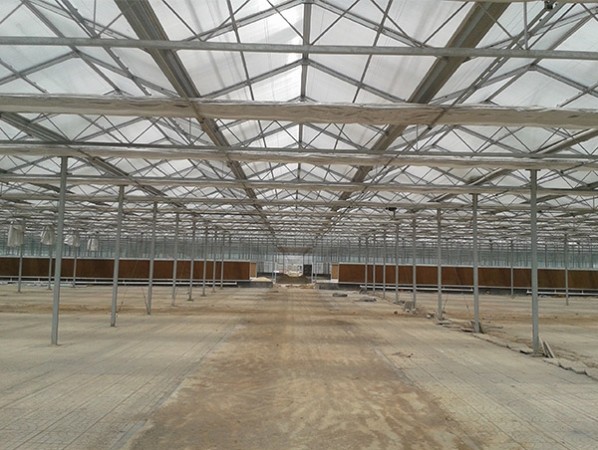 Venlo glass PC greenhouse