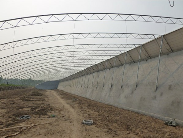 Intelligent sunlight greenhouse