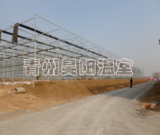 智能連棟膜溫室